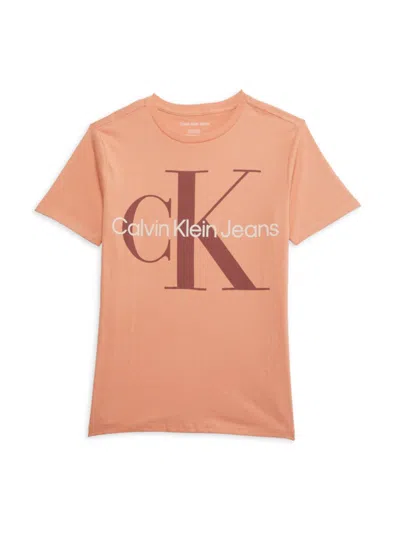 Calvin Klein Kids' Boy's Logo T-shirt In Brown