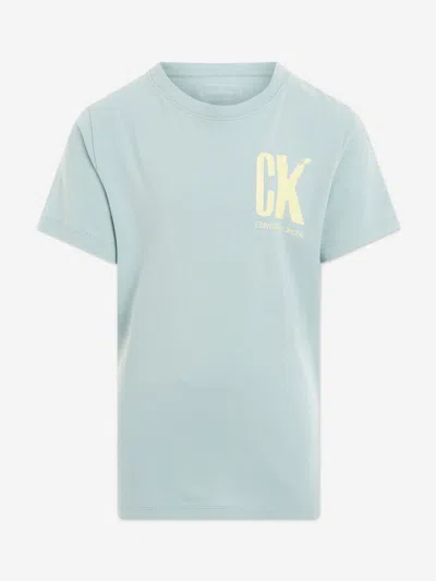 Calvin Klein Kids' Boys Chest Surf Graphic T-shirt In Green