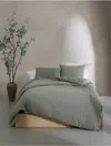 Calvin Klein Branching Leaves Comforter Sham Set In Green