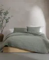 Calvin Klein Branching Leaves Cotton 3-pc. Duvet Cover Set, Queen In Green