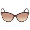Calvin Klein Brown Cat Eye Ladies Sunglasses Ck19534s 210 58 In Brown