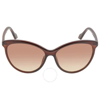 Calvin Klein Brown Cat Eye Ladies Sunglasses Ck19534s 210 58