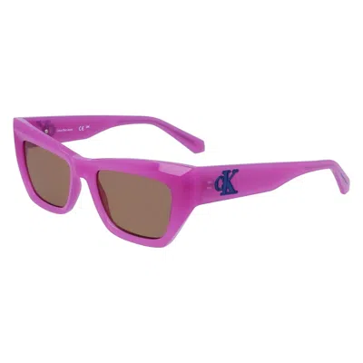 Calvin Klein Brown Cat Eye Ladies Sunglasses Ckj23641s 540 50 In Purple