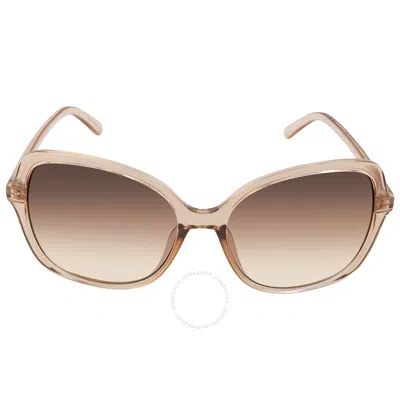 Calvin Klein Brown Gradient Butterfly Ladies Sunglasses Ck19561s 270 57