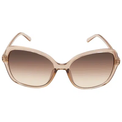 Calvin Klein Brown Gradient Butterfly Ladies Sunglasses Ck19561s 270 57 In Neutral