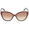Calvin Klein Brown Gradient Cat Eye Ladies Sunglasses Ck19536s 210 55 In Brown