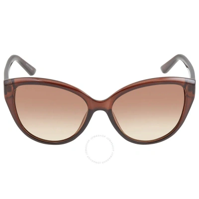 Calvin Klein Brown Gradient Cat Eye Ladies Sunglasses Ck19536s 210 55
