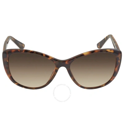 Calvin Klein Brown Gradient Cat Eye Ladies Sunglasses Ck19560s 235 57 In Brown / Tortoise