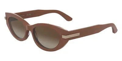 Calvin Klein Brown Gradient Cat Eye Ladies Sunglasses Ck25502sn 601 54 In ["pink","brown"]