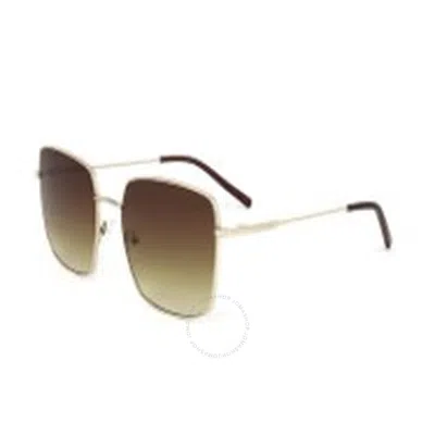 Calvin Klein Brown Gradient Square Ladies Sunglasses Ck22121s 714 57