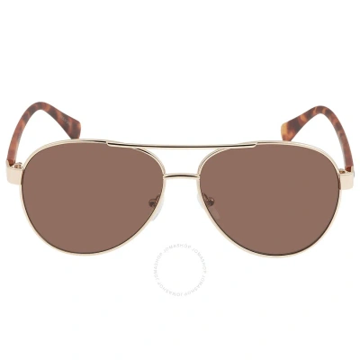 Calvin Klein Brown Pilot Men's Sunglasses Ck19316s 717 60 In Brown / Gold