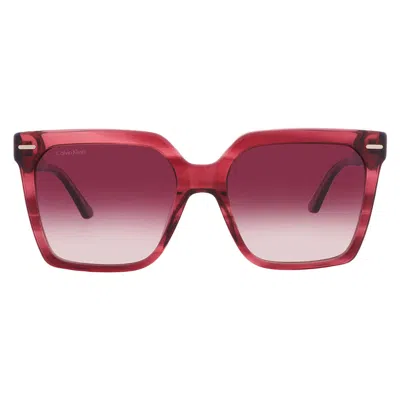 Calvin Klein Burgundy Gradient Square Ladies Sunglasses Ck22534s 605 55 In Pink