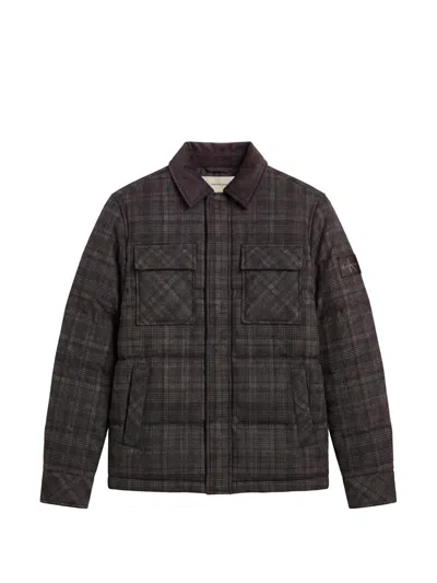 Calvin Klein Check-pattern Padded Jacket In Gray