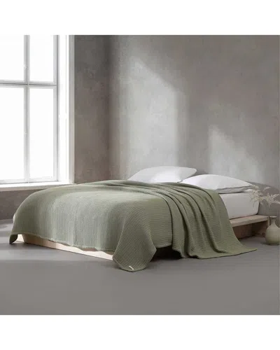 Calvin Klein Ck Cotton Weave Blanket