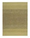 Calvin Klein Ck206 Linear Glow Area Rug, 7'9 X 10'10 In Verbena