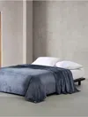 Calvin Klein Core Plush Solid Plush Blanket