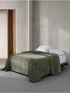 Calvin Klein Core Plush Blanket In Green