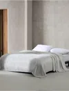 Calvin Klein Core Plush Blanket