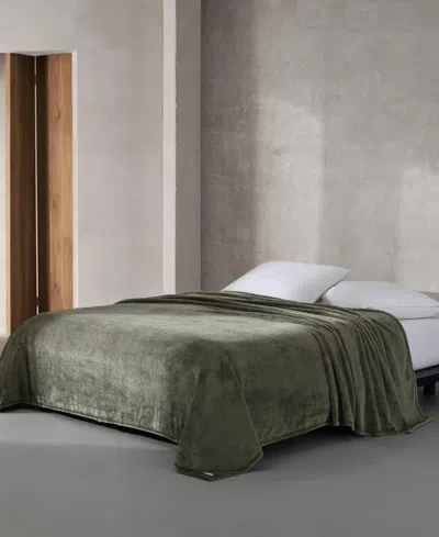 Calvin Klein Core Plush Solid Blanket, King In Green