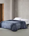 Calvin Klein Core Plush Blanket In Blue