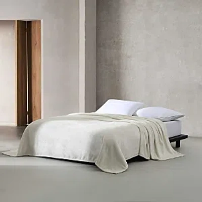 Calvin Klein Core Plush Solid Bed Blanket, Twin In Neutral