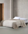 Calvin Klein Core Plush Solid Blankets In Light Gray