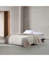 Calvin Klein Core Plush Solid Plush Blanket In Neutral