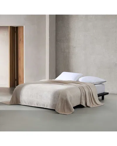 Calvin Klein Core Plush Solid Plush Blanket In Neutral