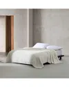 Calvin Klein Core Plush Solid Plush Blanket In Neutral