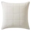 Calvin Klein Cotton Gauze Solid Pillow Cover, 22 X 22 In Neutral