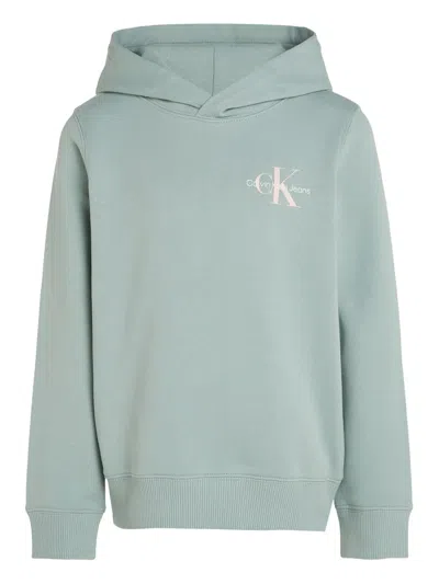 Calvin Klein Kids' Cotton Hoodie In Green