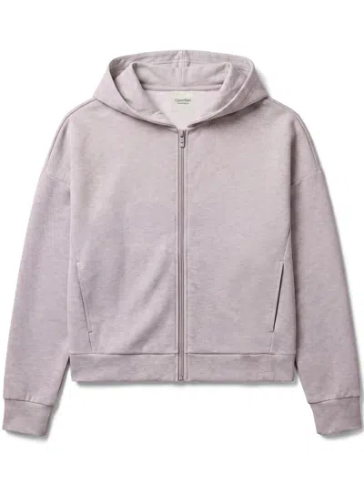 Calvin Klein Logo-embroidered Zip-up Hoodie In Gray