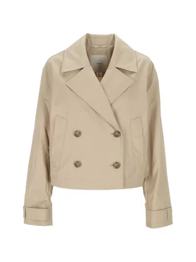 Calvin Klein Cotton Twill Short Trench Jacket In Neutral