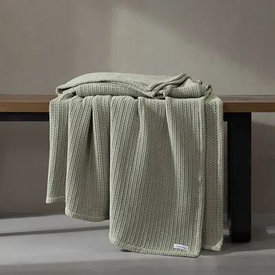 Calvin Klein Cotton Weave Ring Spun Blanket, King In Sage Green