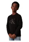 Calvin Klein Crewneck Sweater Baby Unisex  In Brown
