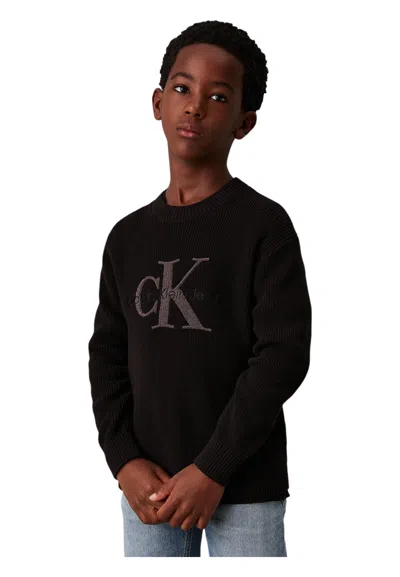 Calvin Klein Kids' Crewneck Sweater Baby Unisex  In Brown