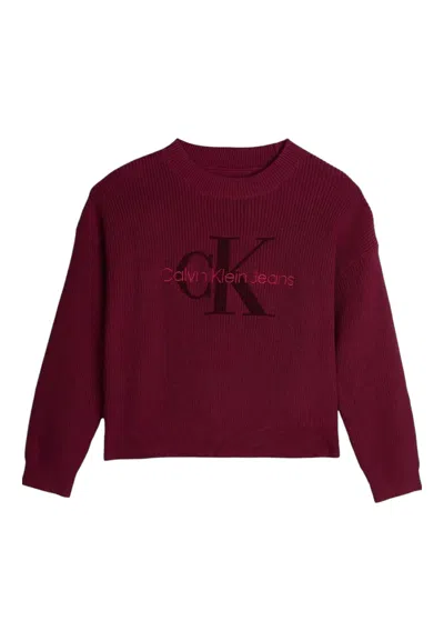 Calvin Klein Kids' Crewneck Sweater Bambina  In Burgundy