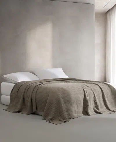 Calvin Klein Essential Garment Washed Cotton Jacquard Coverlet, Queen In Plum