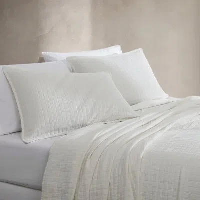 Calvin Klein Essential Garment Washed Solid Cotton Sham Set In Off White