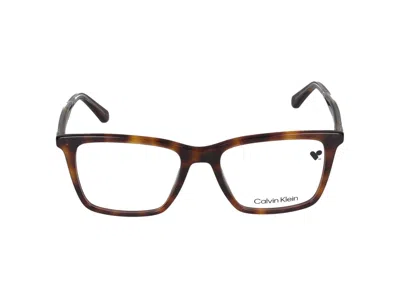 Calvin Klein Eyeglasses In Brown
