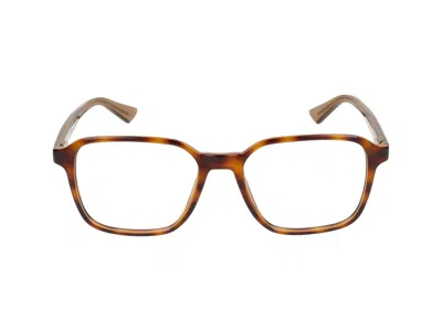 Calvin Klein Eyeglasses In Brown