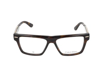 Calvin Klein Eyeglasses In Brown