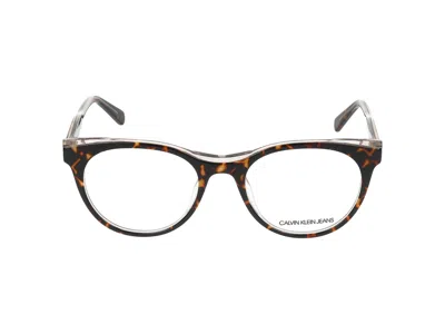 Calvin Klein Eyeglasses In Brown