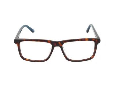 Calvin Klein Eyeglasses In Brown