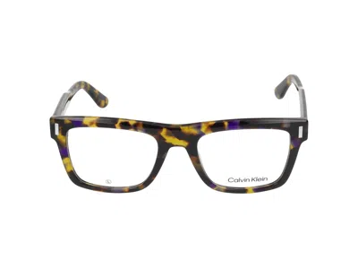 Calvin Klein Eyeglasses In Brown Blue Havana