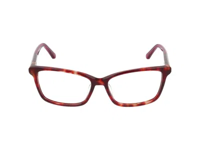 Calvin Klein Eyeglasses In Burgundy Havana