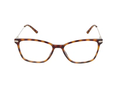 Calvin Klein Eyeglasses In Soft Tortoise