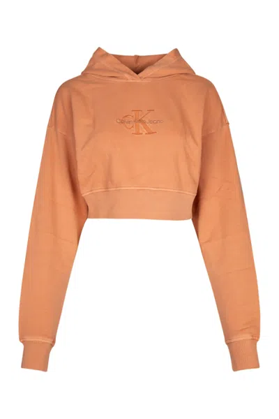 Calvin Klein Sweatshirts In Burntclay
