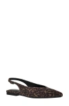 Calvin Klein Galiana Slingback Pointed Toe Flat