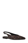 Calvin Klein Galiana Slingback Pointed Toe Flat In Brown
